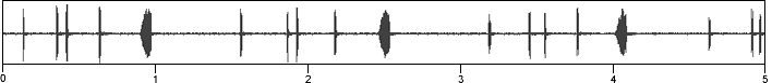 waveform