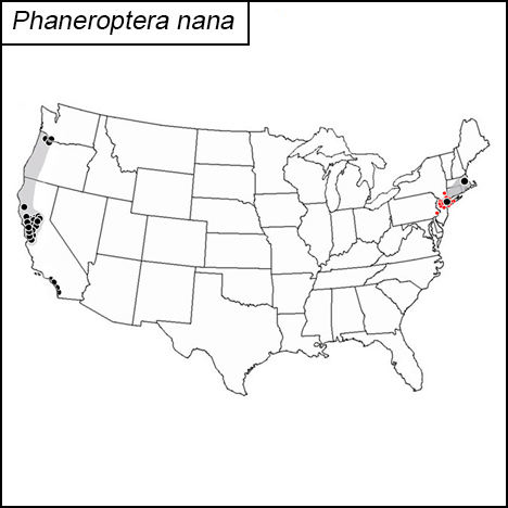 distribution map for Phaneroptera nana