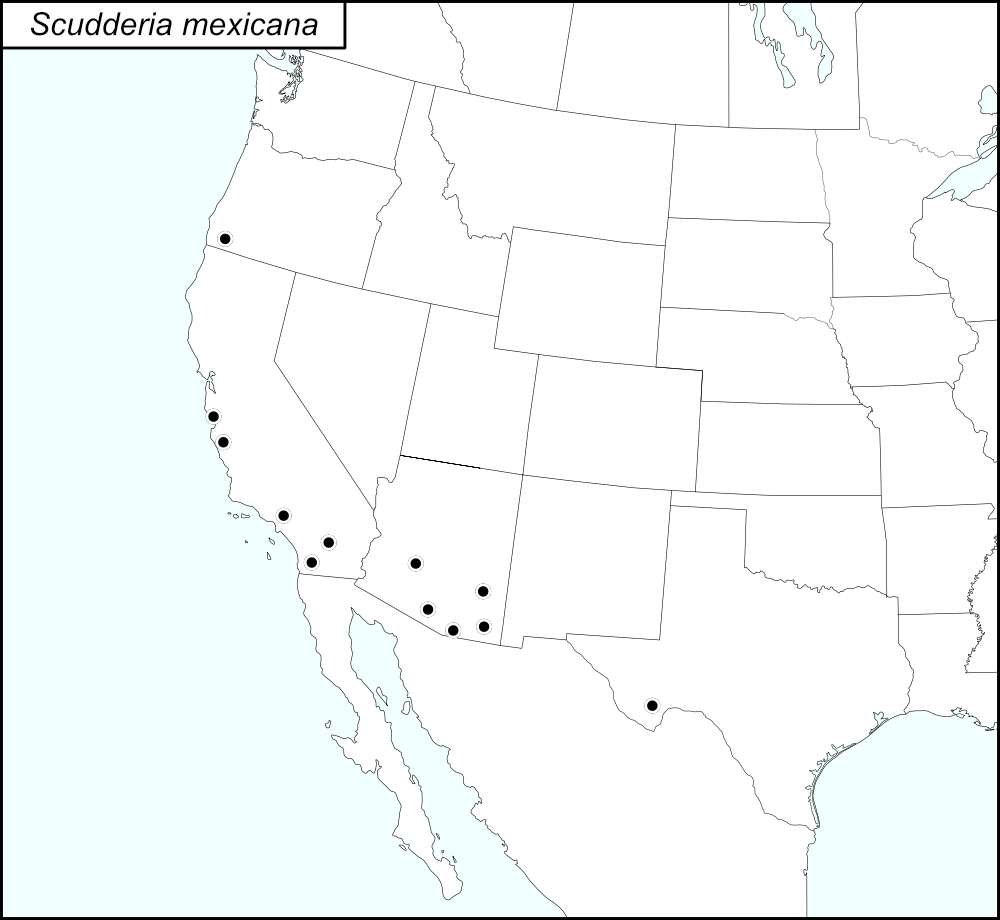distribution map for Scudderia mexicana