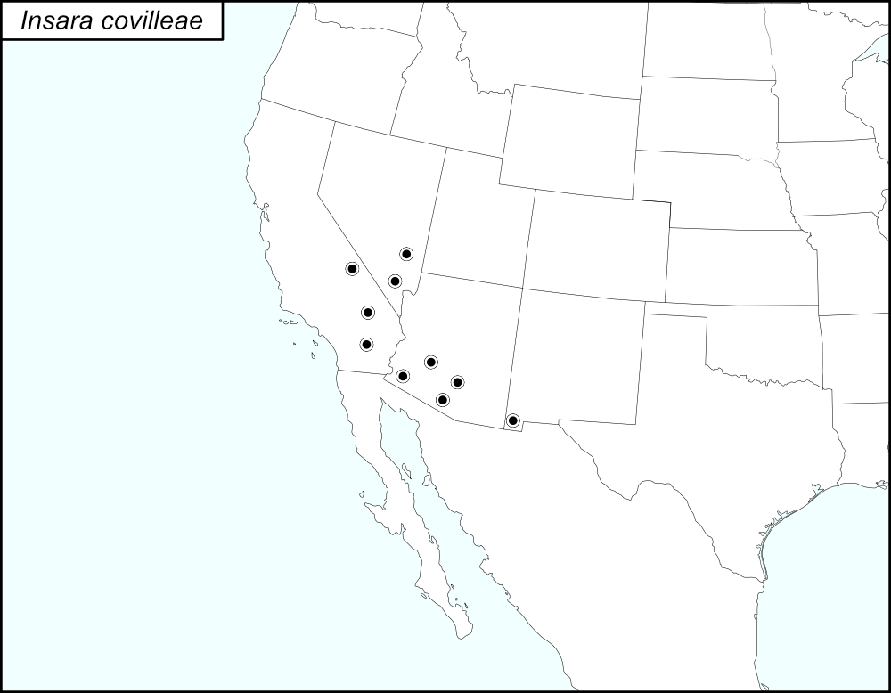 distribution map for Insara covilleae