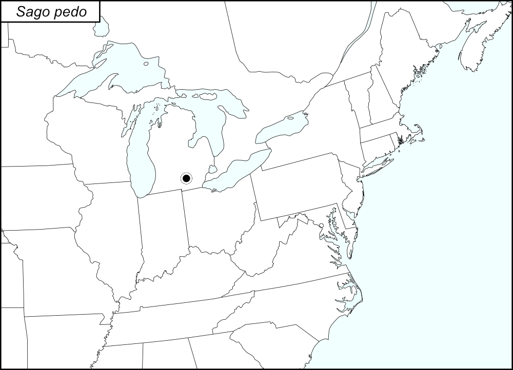 distribution map for Saga pedo