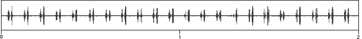 waveform