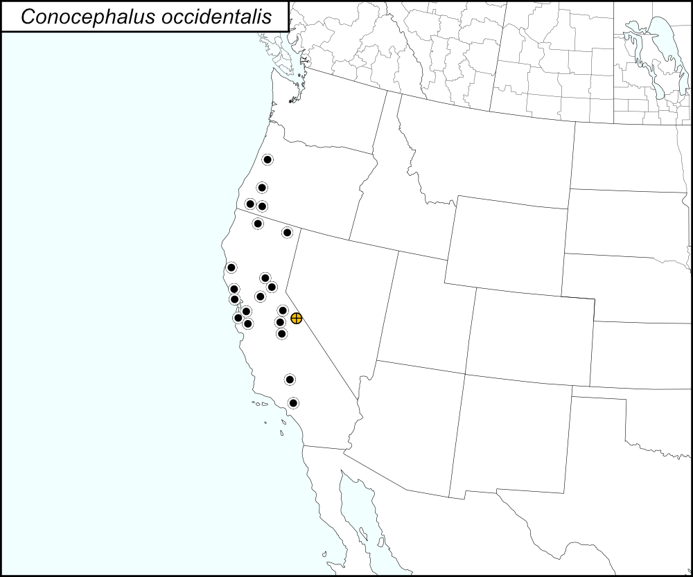 distribution map for Conocephalus occidentalis