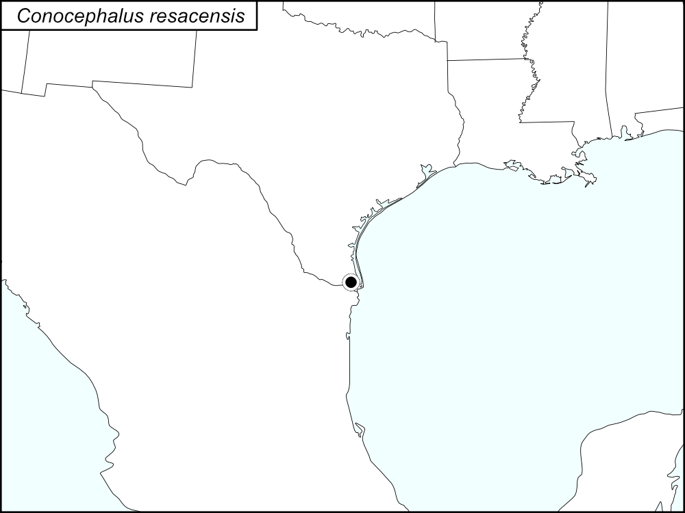 distribution map for Conocephalus resacensis