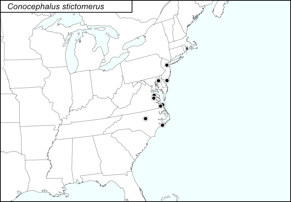 distribution map for Conocephalus stictomerus