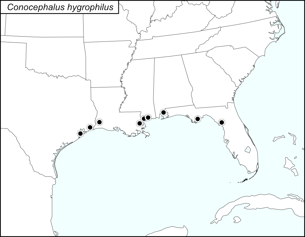 distribution map for Conocephalus hygrophilus
