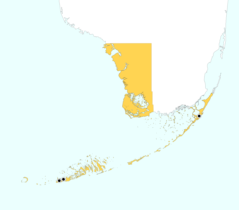 distribution map for Monroe County, Florida, showing 3 records for Gryllodes sigillatus
