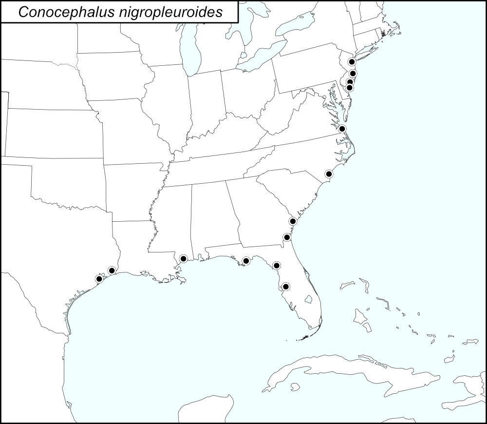 distribution map for Conocephalus nigropleuroides