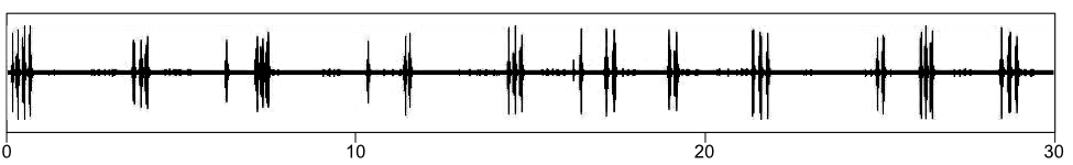 waveform