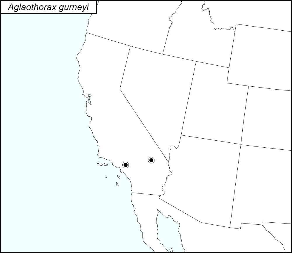 distribution map for Aglaothorax gurneyi
