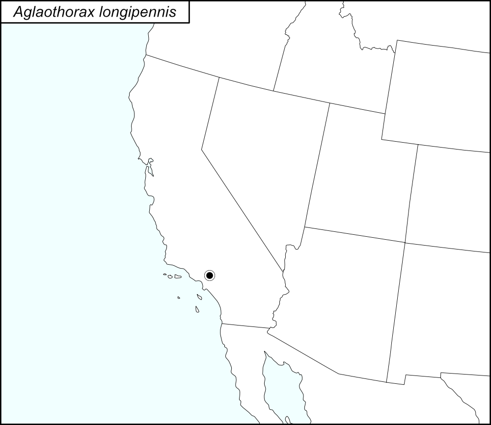 distribution map for Aglaothorax longipennis