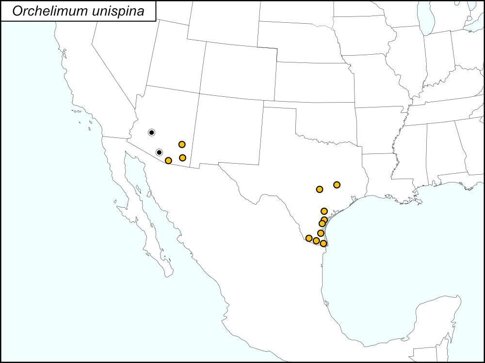 distribution map for Orchelimum unispina