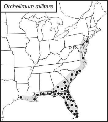 distribution map for Orchelimum militare