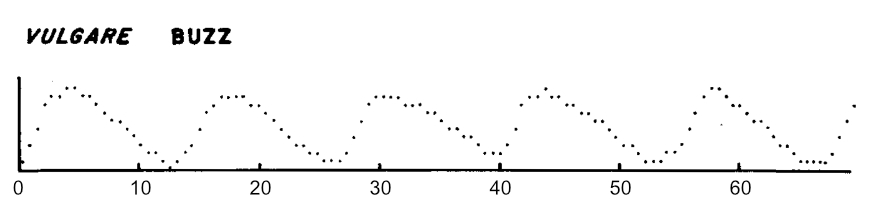 image of Orchelimum vulgare