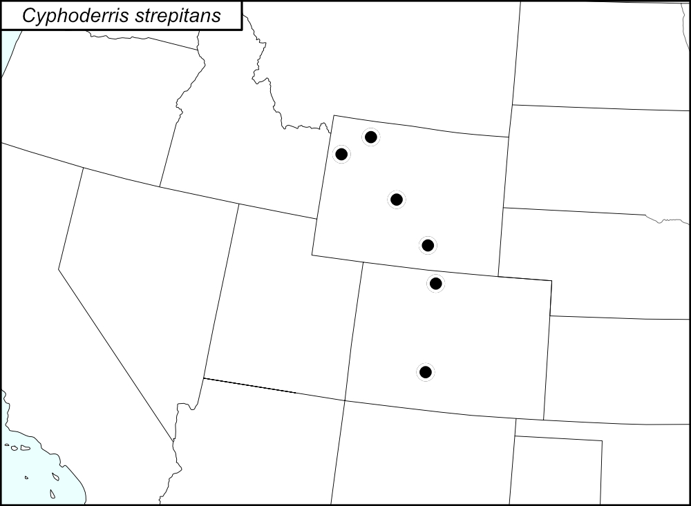 distribution map for Cyphoderris strepitans