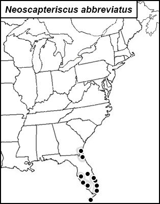 distribution map for Neoscapteriscus vicinus