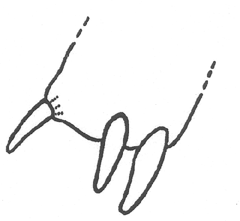 image of Gryllotalpa major