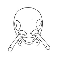 image of Trigonidomimus belfragei