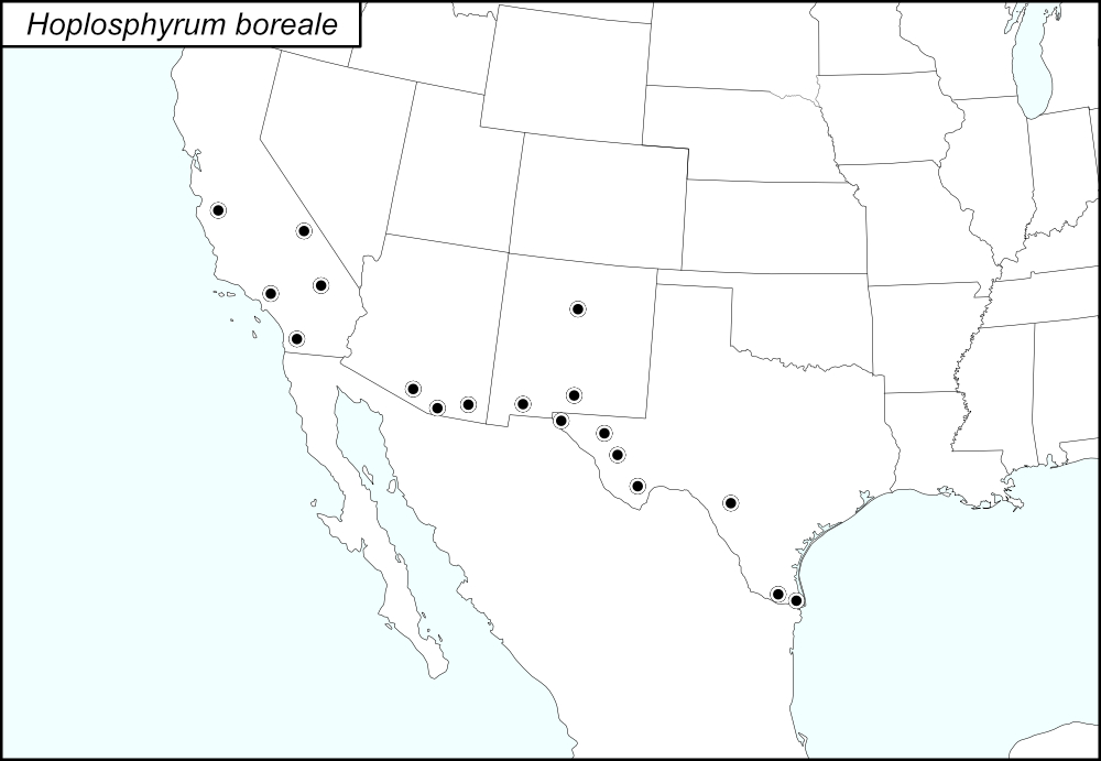 distribution map for Hoplosphyrum boreale