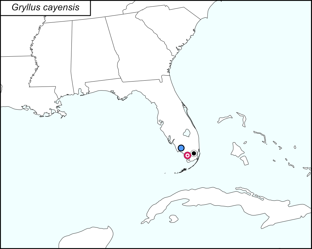 distribution map for Gryllus cayensis