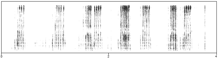 spectrogram