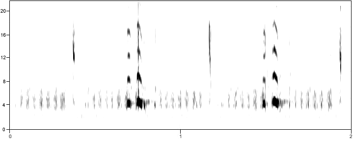 spectrogram