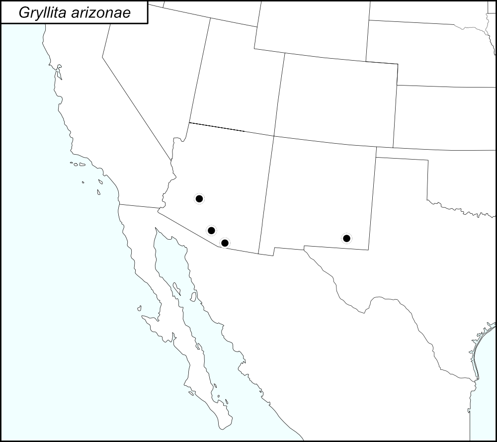 distribution map for Gryllita arizonae