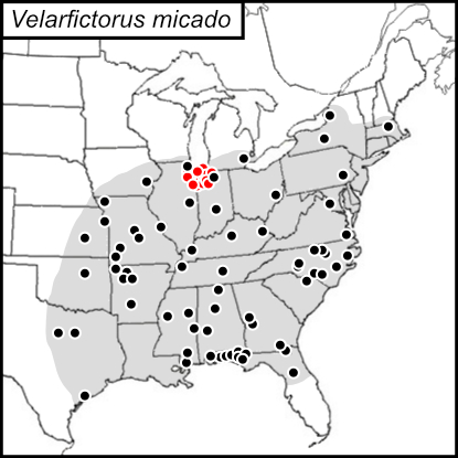 figure 2 DE Bowles 2018