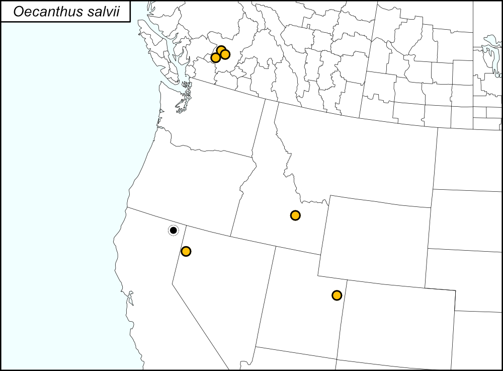 distribution map for Oecanthus salvii
