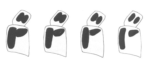 image of Oecanthus argentinus