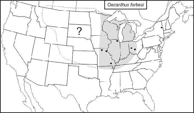SINA map for Oecanthus forbesi from 2003