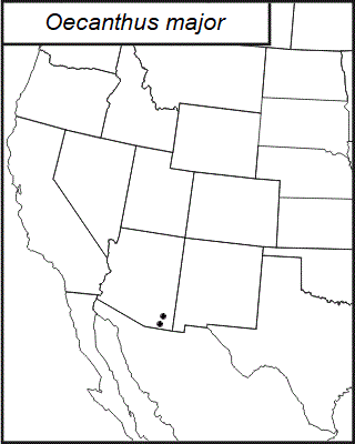 distribution map for Oecanthus major