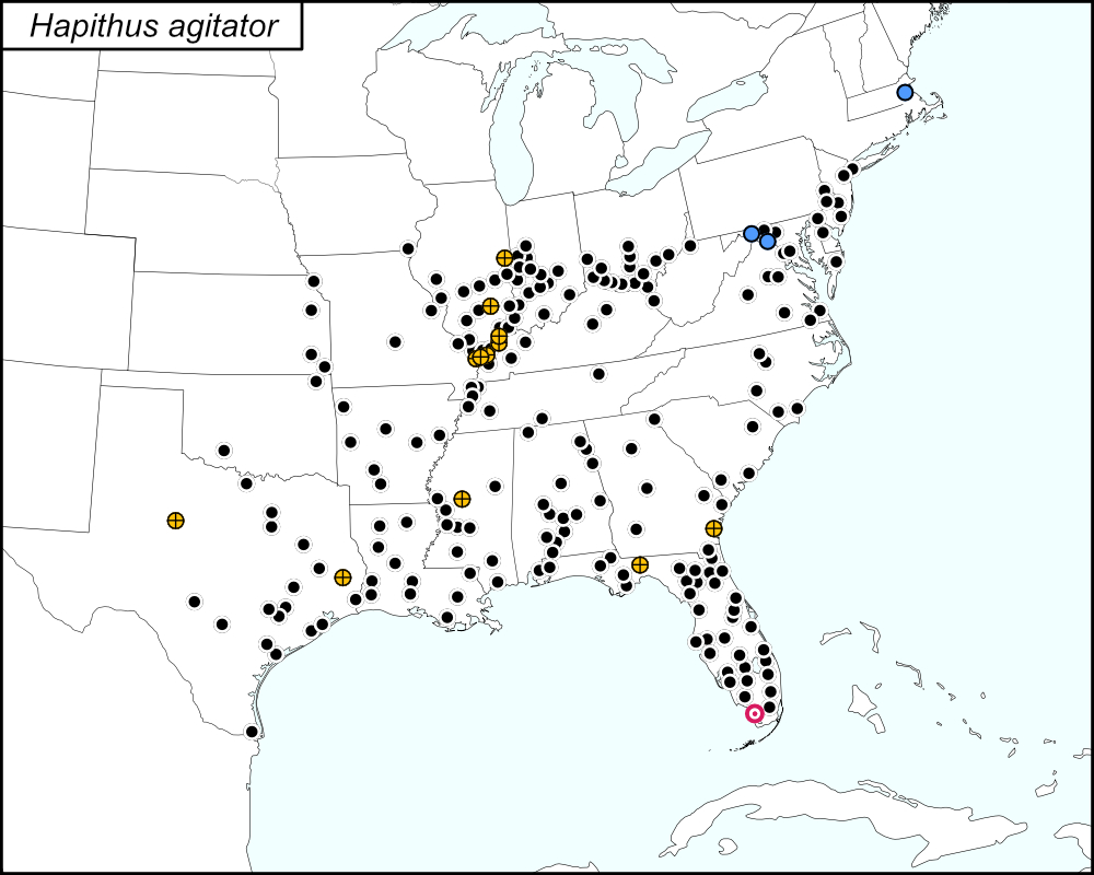 distribution map for Hapithus agitator