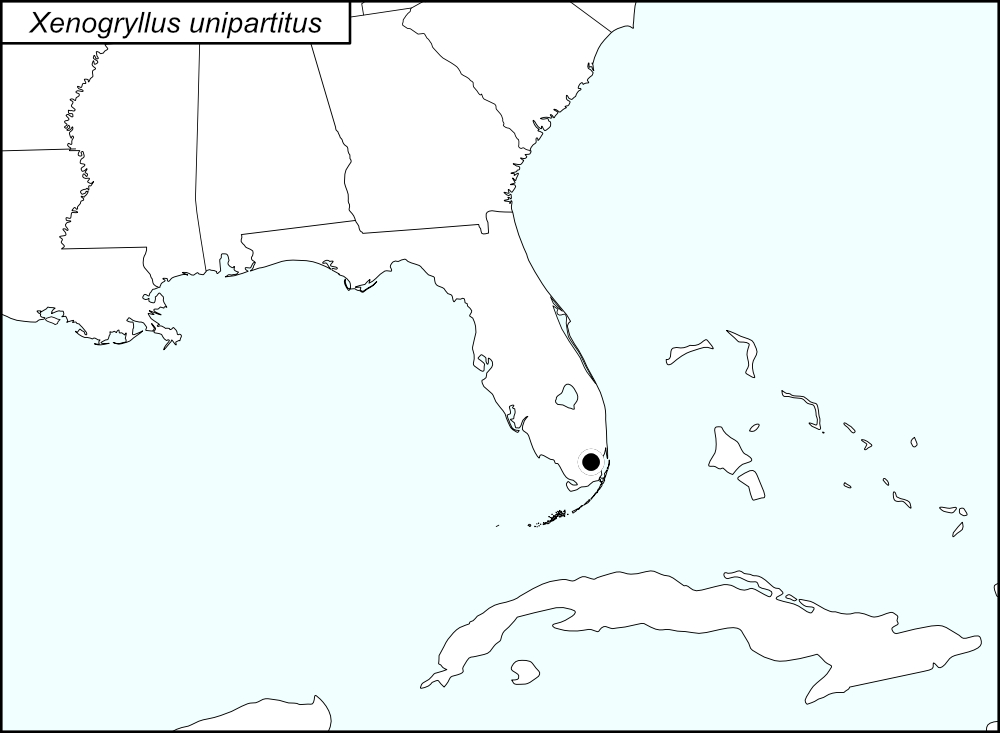 distribution map for Paroecanthus oaxaca