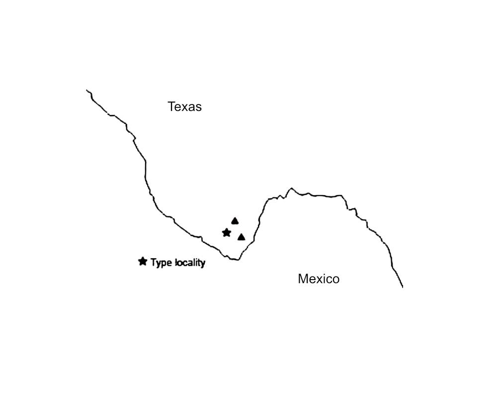 distribution map from Weissman and Gray 2019 for Gryllus chisosensis