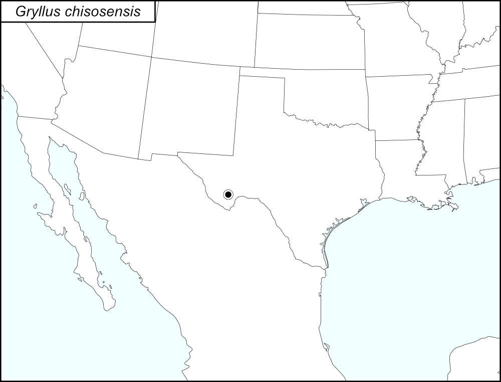 distribution map for Gryllus chisosensis