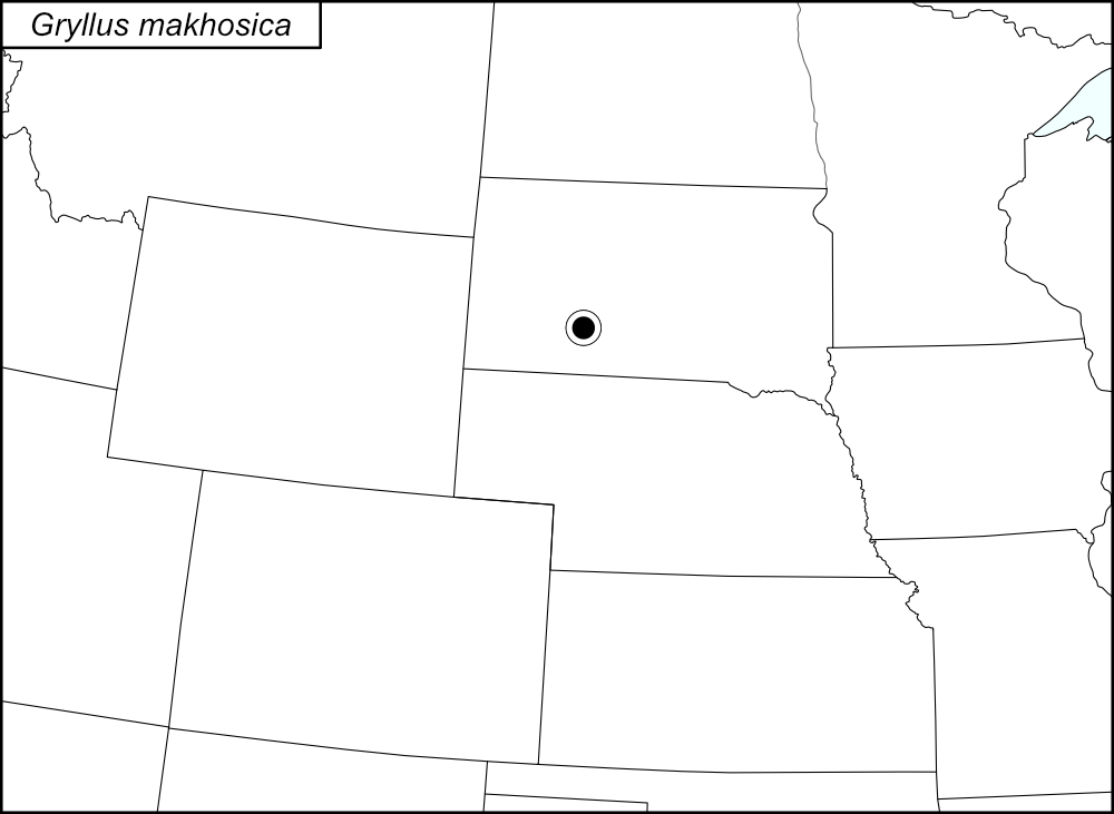 distribution map for Gryllus 