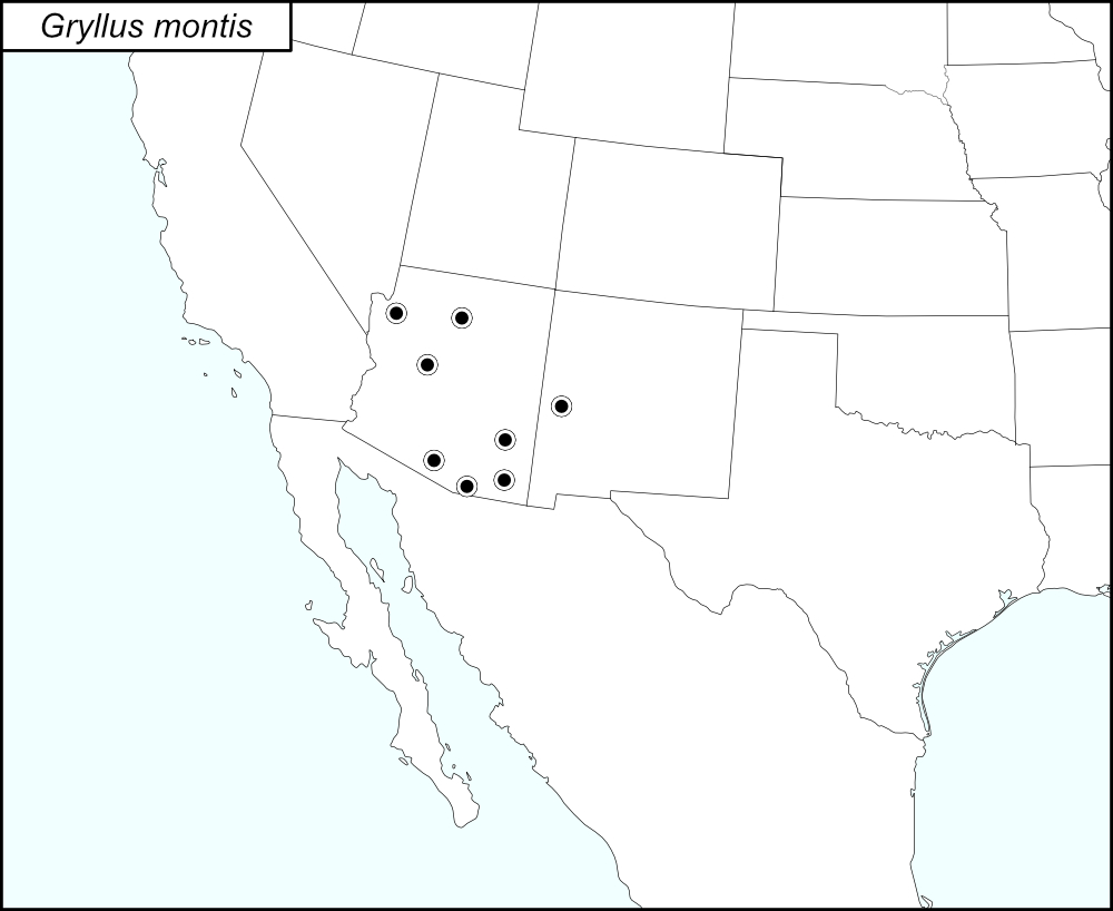 distribution map for Gryllus montis