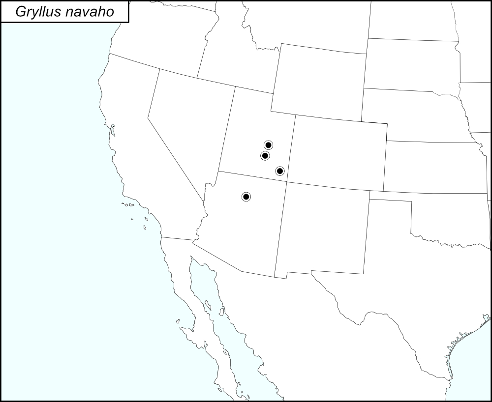 distribution map for Gryllus navajo