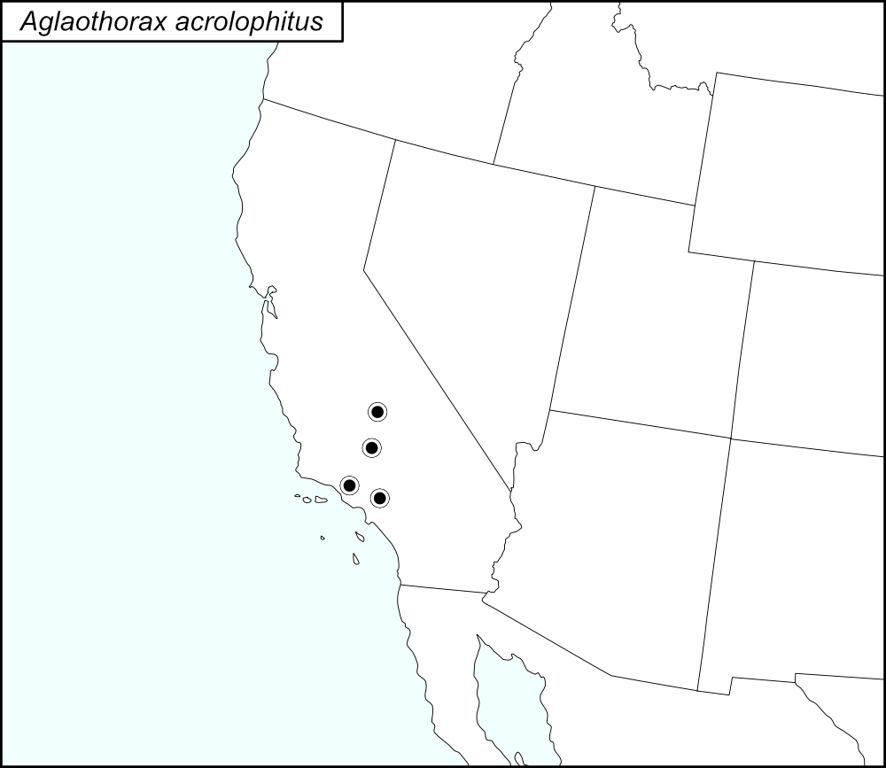 distribution map for Aglaothorax acrolophitus