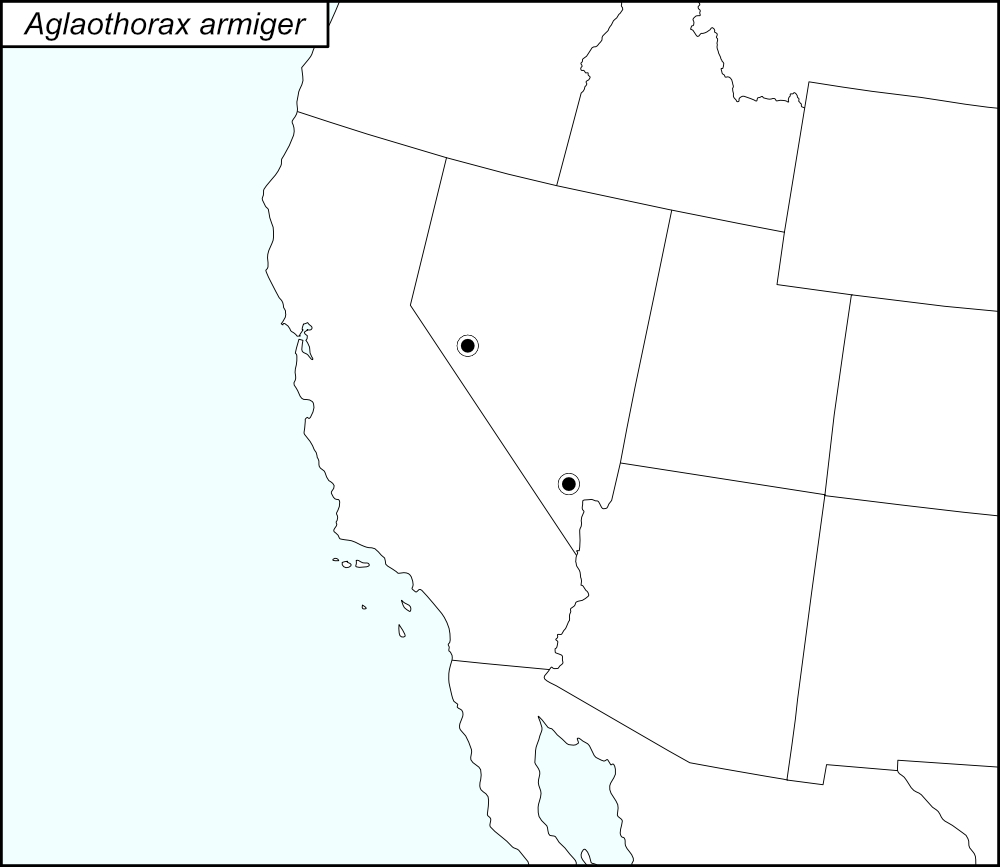distribution map for Aglaothorax armiger