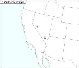 icon map for aglaothorax armiger