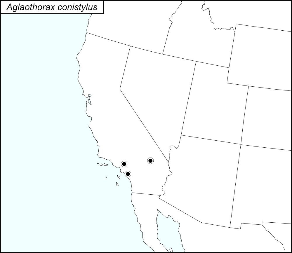 distribution map for Aglaothorax conistylus