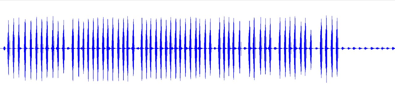 waveform for Aglaothorax constrictans