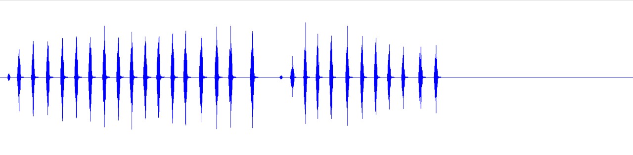 waveform for Aglaothorax hulodomus