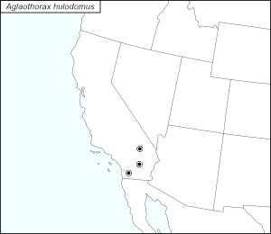 icon map for aglaothorax hulodomus