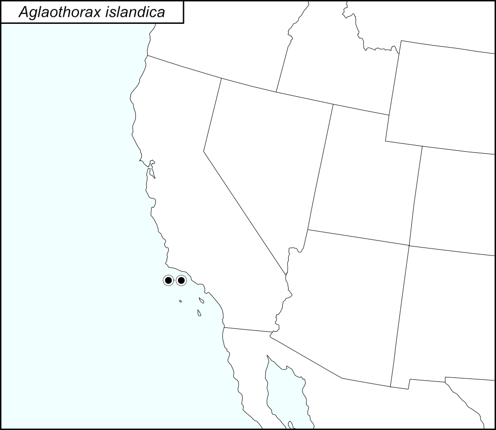 distribution map for Aglaothorax islandica