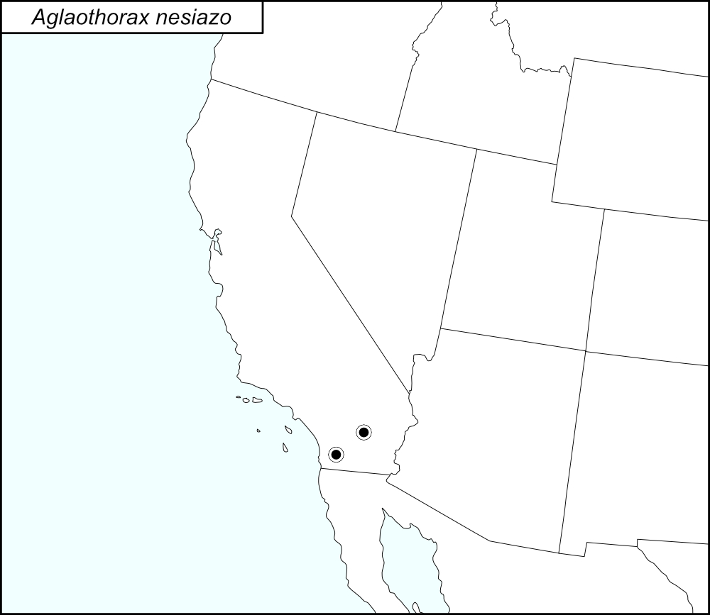 distribution map for Aglaothorax nesiazo