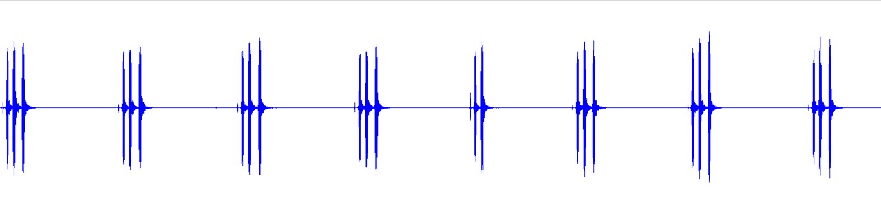 waveform for Aglaothorax 