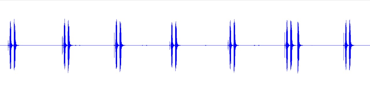 waveform for Aglaothorax strobilion